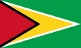 Guyana Nationsflagga